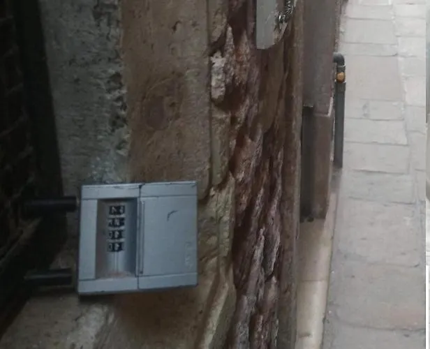 San Marco Orange Nest *